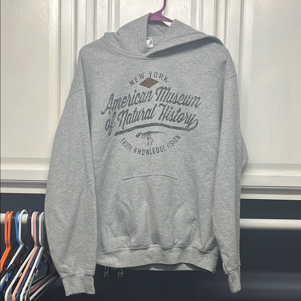 Gildan Gray Graphic Hoodie